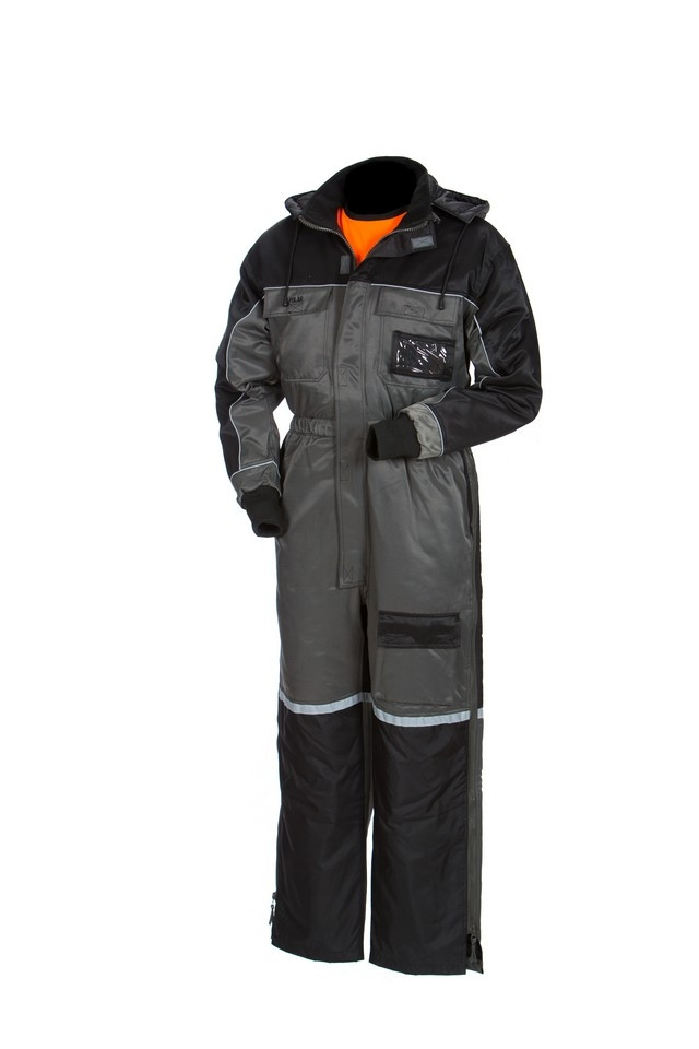4217 Priha Polar talvihaalari
