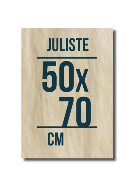 70-140 Juliste säänkestävä 50 x 70 cm
